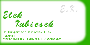 elek kubicsek business card